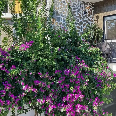 Guest house Colina - 3*