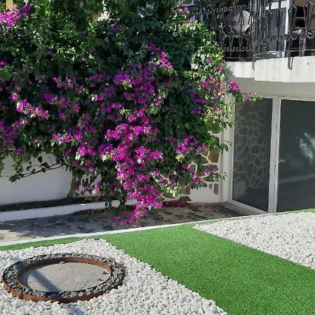Colina - Guest house Braga