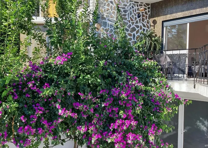 Affittacamere Colina - 3*